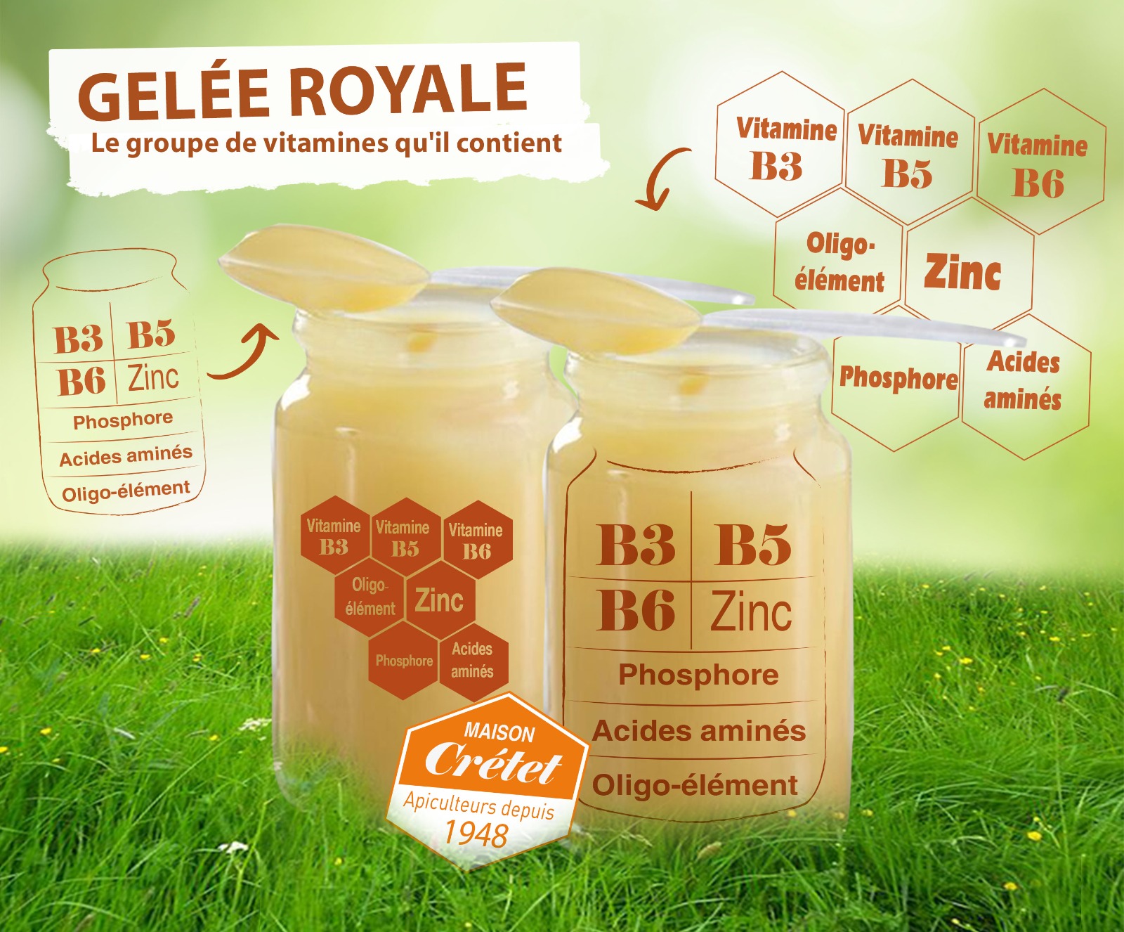 Les Bienfaits de la Gelée Royale à petit prix Maison Crétet